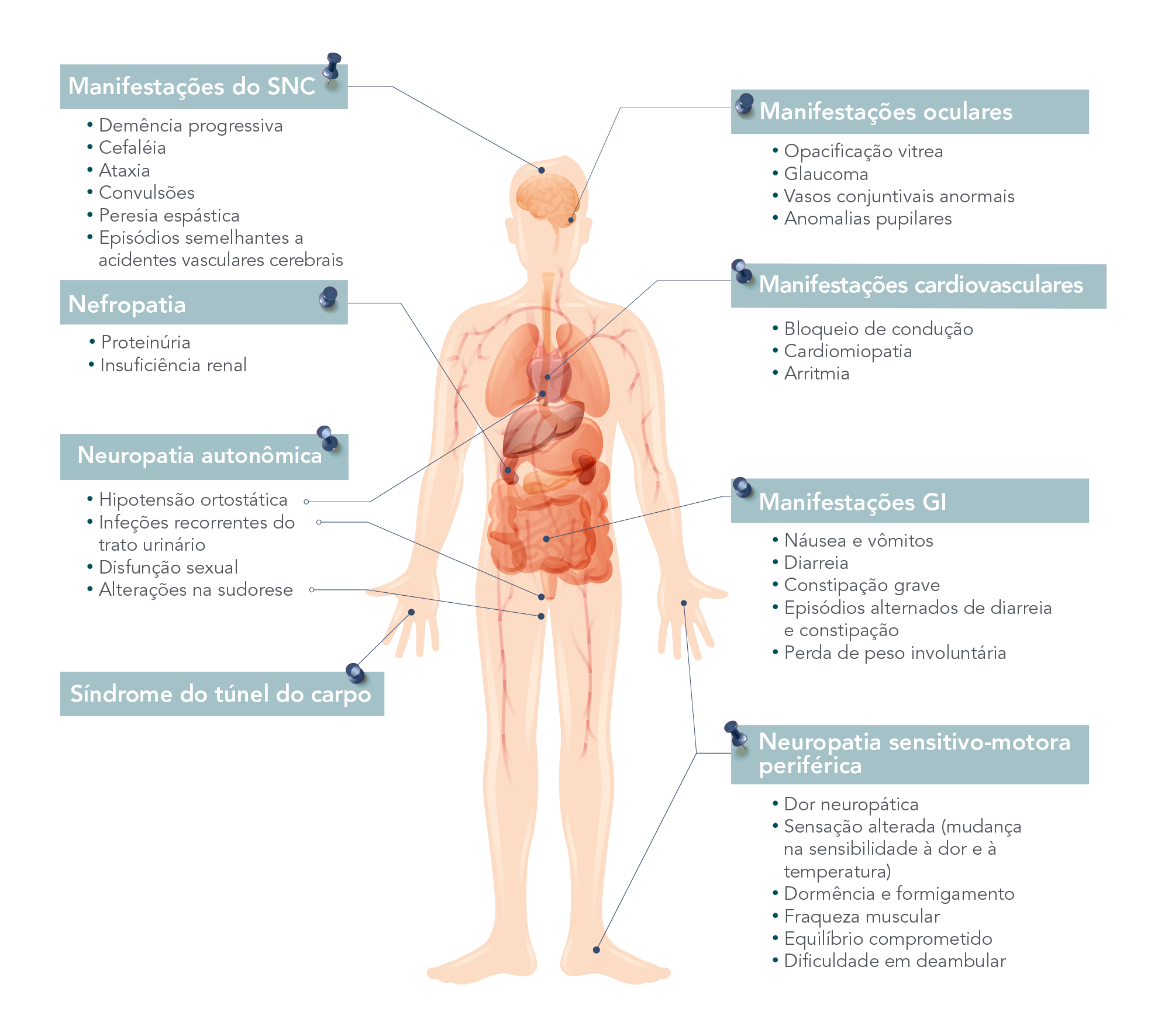 As manifestações clínicas são multissistêmicas e podem incluir sintomas de neuropatia periférica, cardiomiopatia e disautonomia